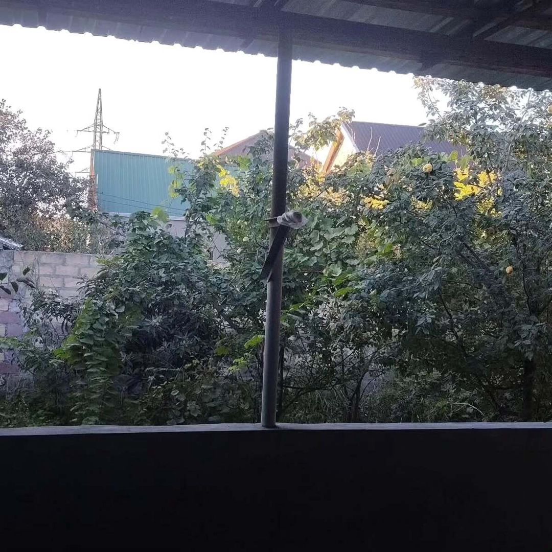 Həyət evi, Gəncə ş — Ev, villa, Gəncə (7)