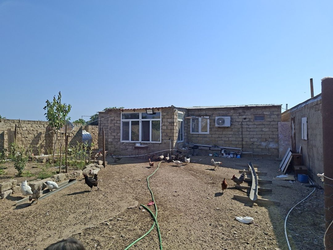 Həyət evi, Zirə qəs — Ev, villa, Bakı (4)