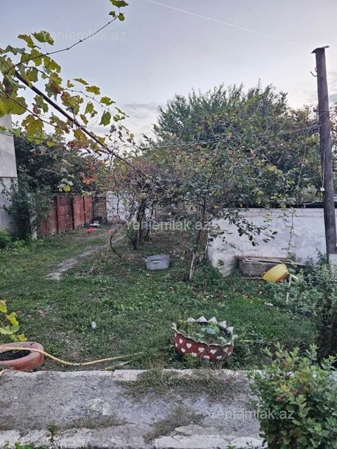 Satılır Torpaq sahəsi, 10 sot, Qəbələ — Qəbələ