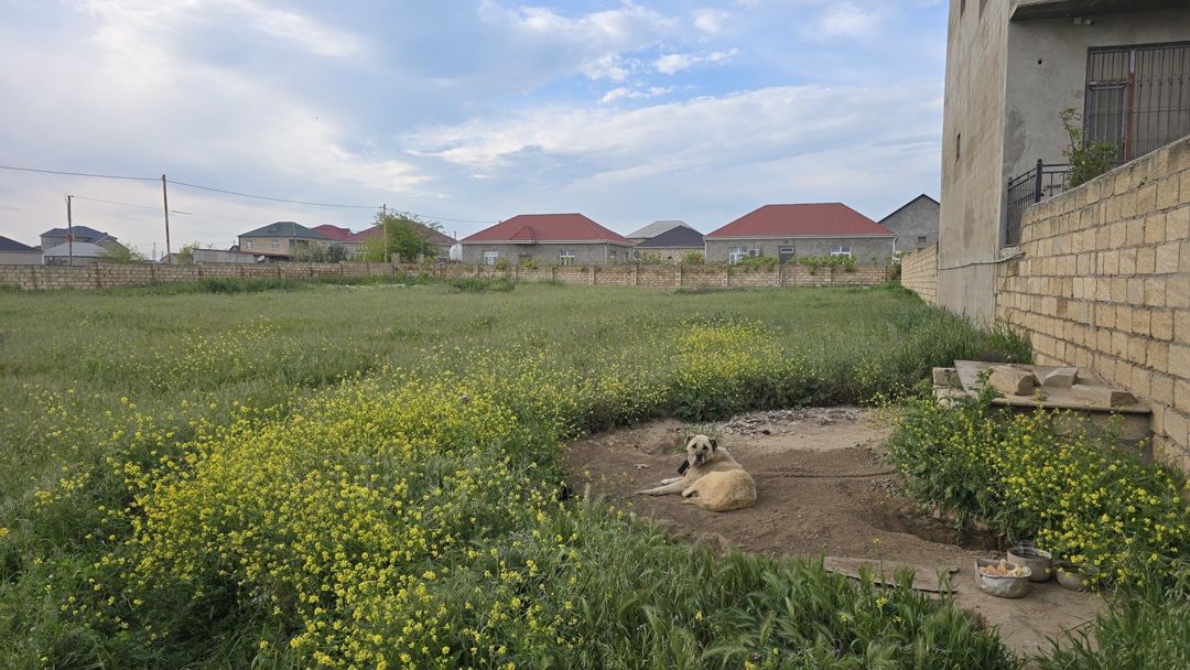 Satılır torpaq 25 sot — Torpaq, Bakı (2)