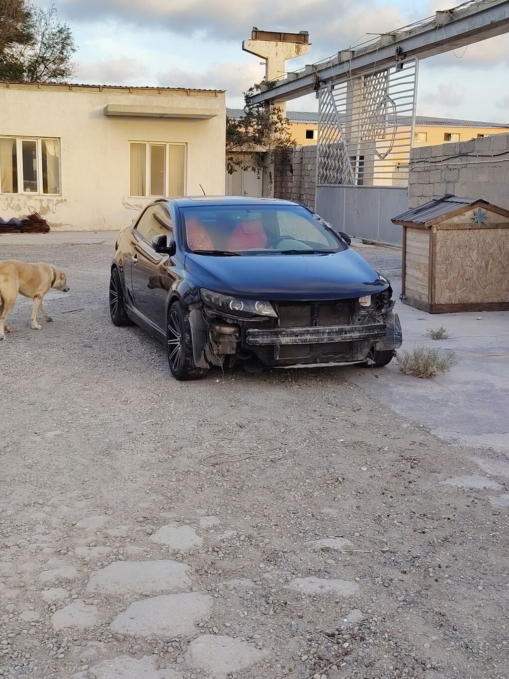 Marka/model: 2 qapılı kupe, qara rəng Kuzov: ön bamper, radiator — Avtomobillər, Sumqayıt (2)