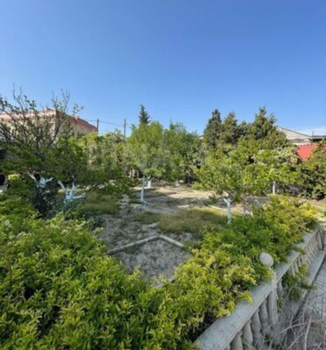 Satılır torpaq 8 sot — Torpaq, Bakı (11)