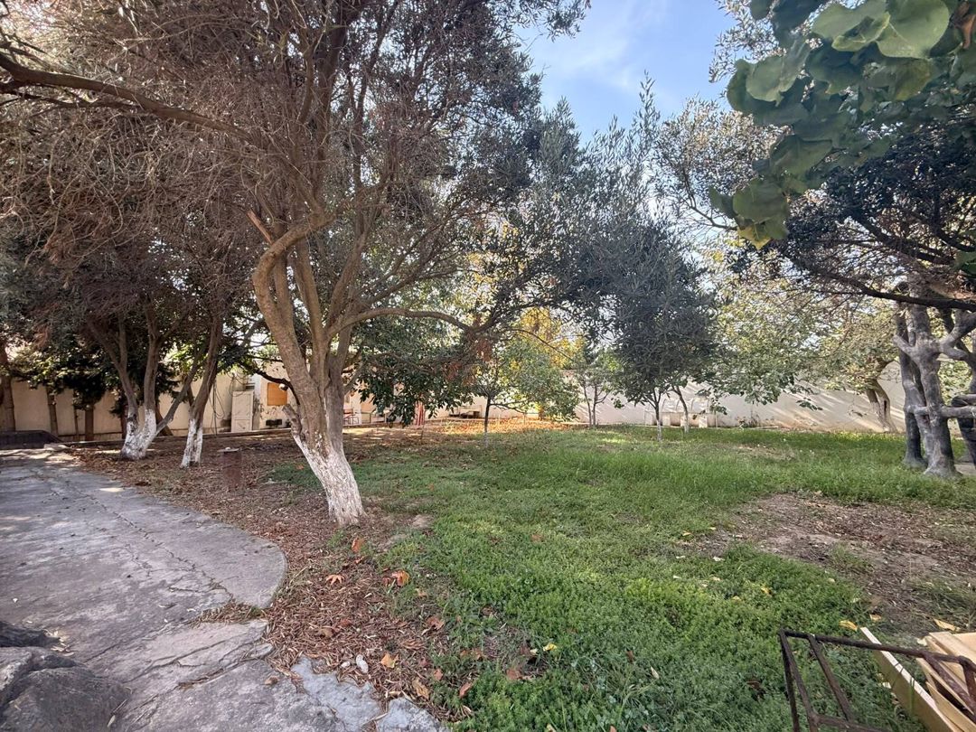 Satılır torpaq 14 sot — Torpaq, Bakı (4)