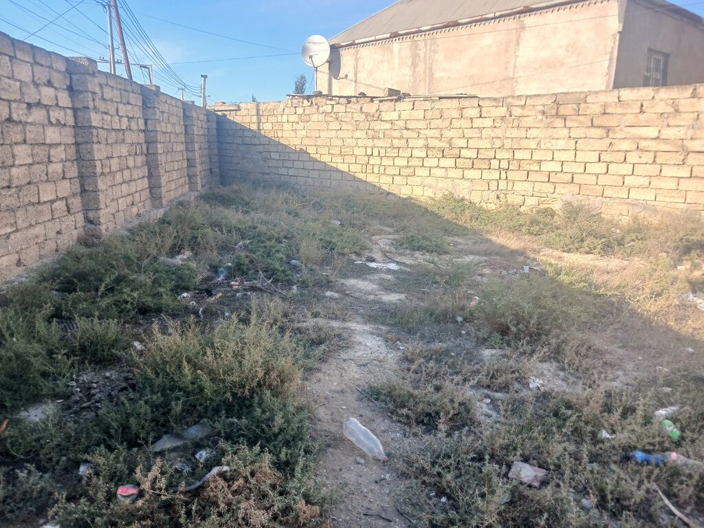 10 sot, Tikinti, Kupça (Çıxarış) — Torpaq, Digah (2)