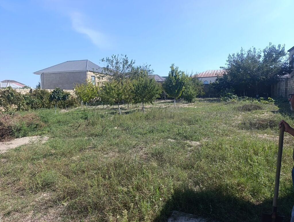 Tikinti — Torpaq, Saray (4)
