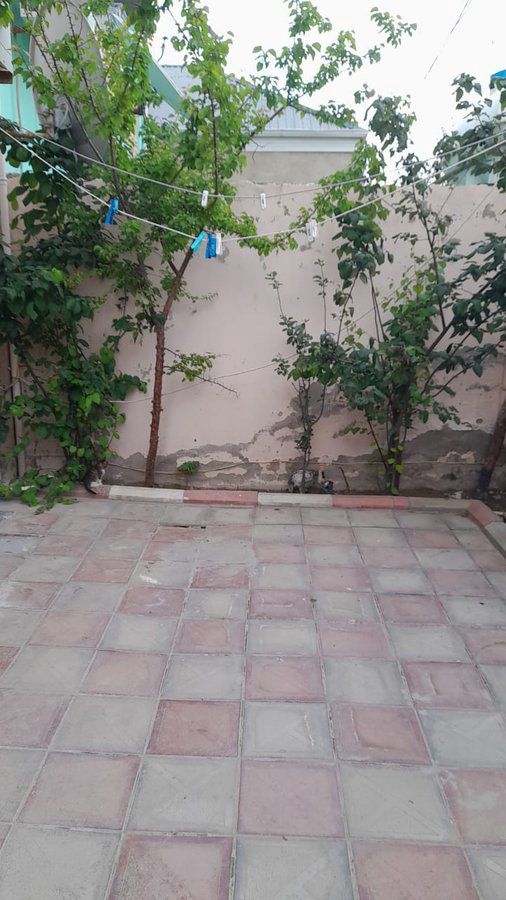 Bağ evi kirayə verilir, 133 m², Polad Həşimov küçəsi., Bakı — Mənzil, Bakı (8)