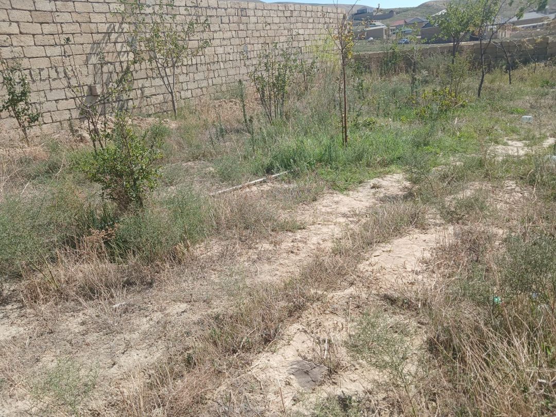 2 sot torpaq sahəsi, Qobu qəs — Torpaq, Bakı (5)