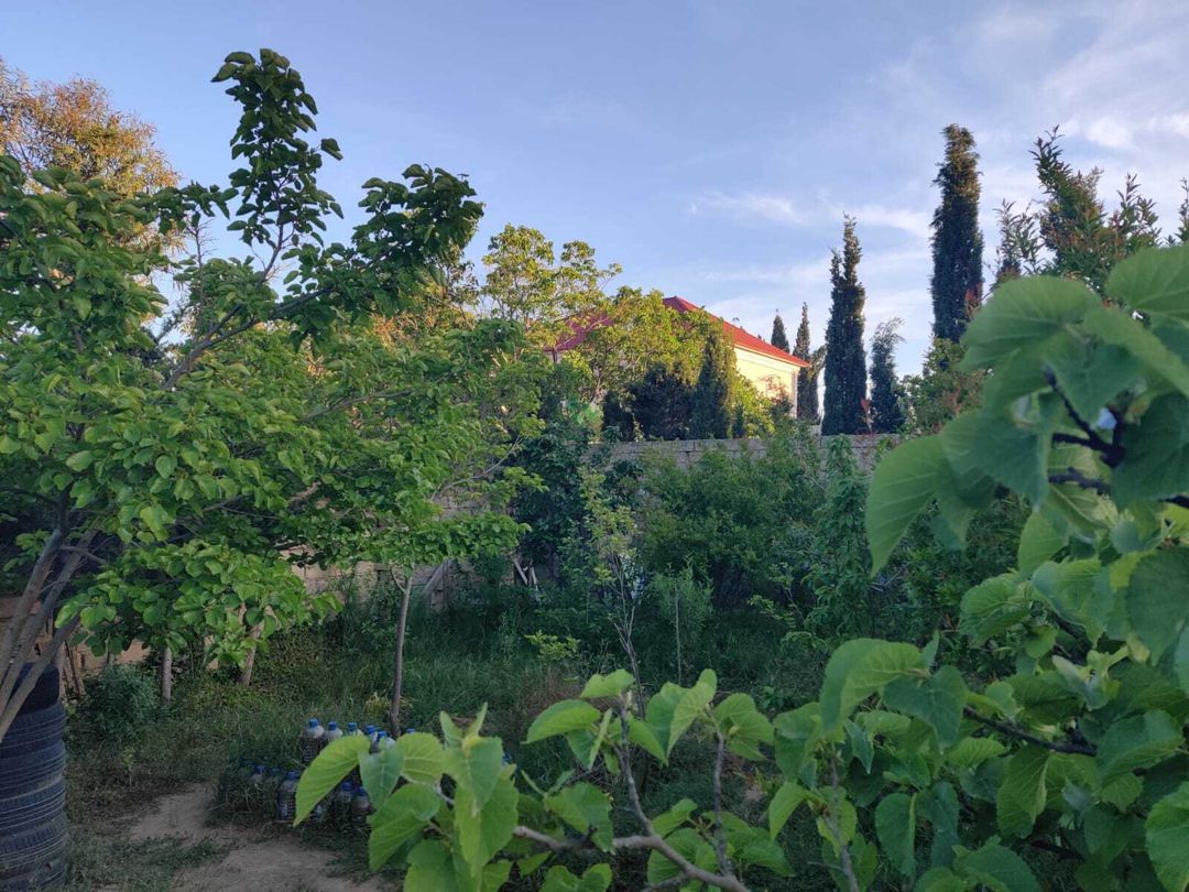 Satılır 2 otaqlı həyət evi/bağ evi 22 m² — Ev, villa, Bakı (12)