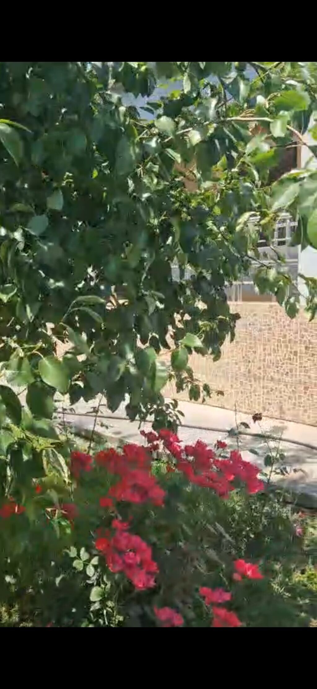 3 otaqlı, 115 kv. m, Yeni təmirli — Ev, villa, Qəbələ (4)