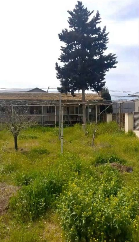 Satılır torpaq 14 sot — Bakı