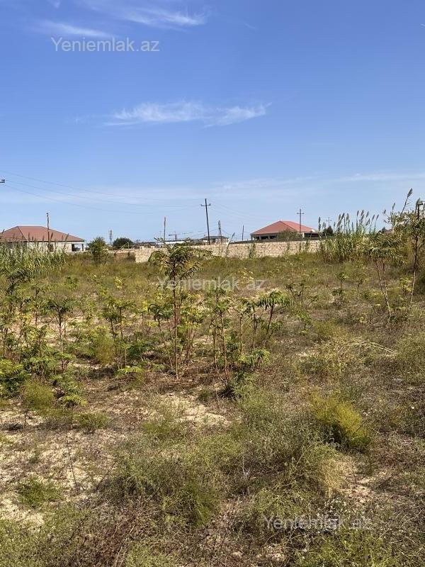 Satılır Torpaq sahəsi, 0.6 sot, Sabunçu rayonu — Torpaq, Bakı (4)