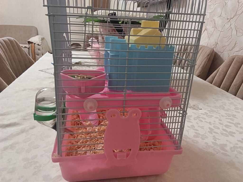 Siçan/hamster ile 2 mərtəbəli qəfəs dəsti 'qızdı hamilə yemək və — Qəfəslər, Xırdalan (2)