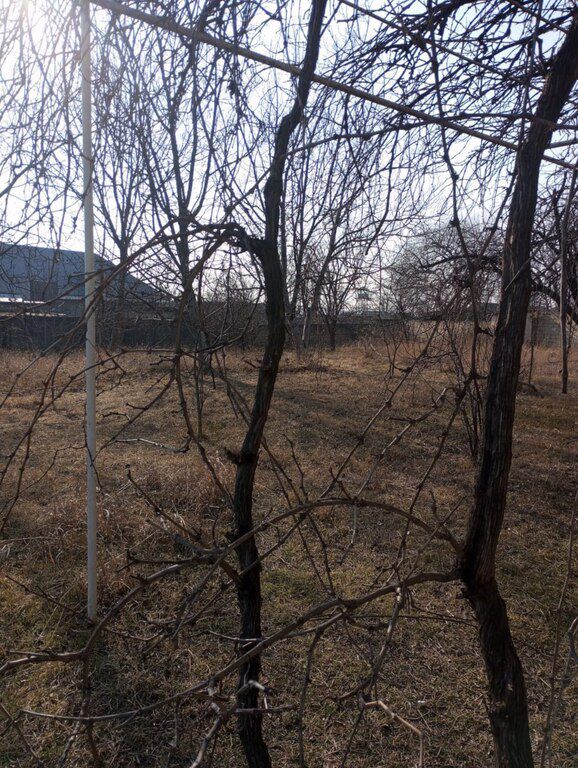 Həyət evi, Şəki ş — Ev, villa, Şəki (7)