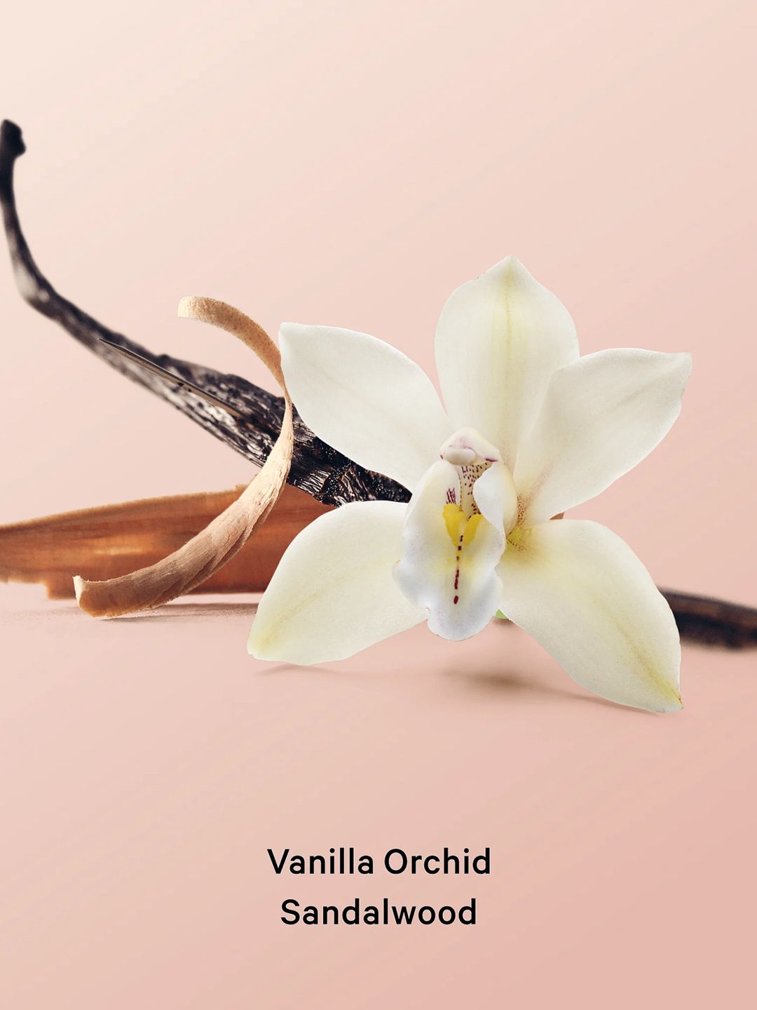 Kosmetika hədiyyə dəsti Victoria's Secret Vanilla Orchid Sandalwood — Mallar, Bakı (2)