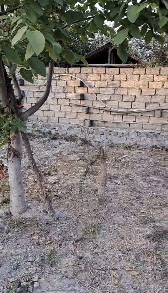 Satılır torpaq 6 sot — Torpaq, Şəki (5)