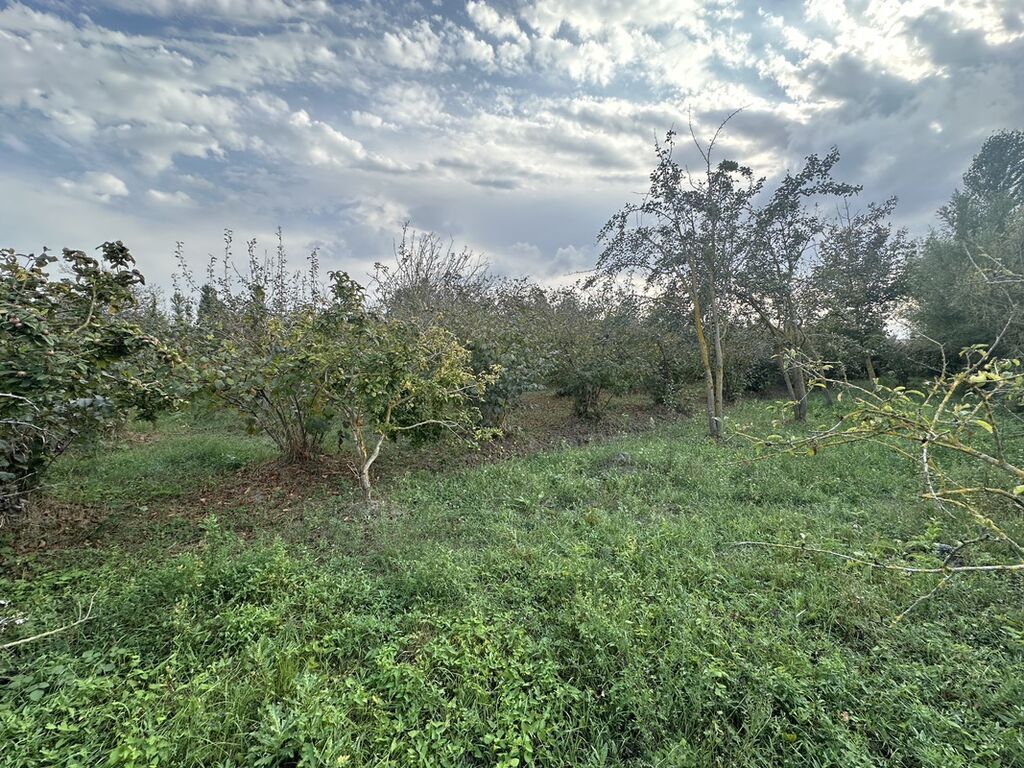 32 sot, Kənd təsərrüfatı, Mülkiyyətçi, Kupça (Çıxarış) — Torpaq, Xaçmaz (9)