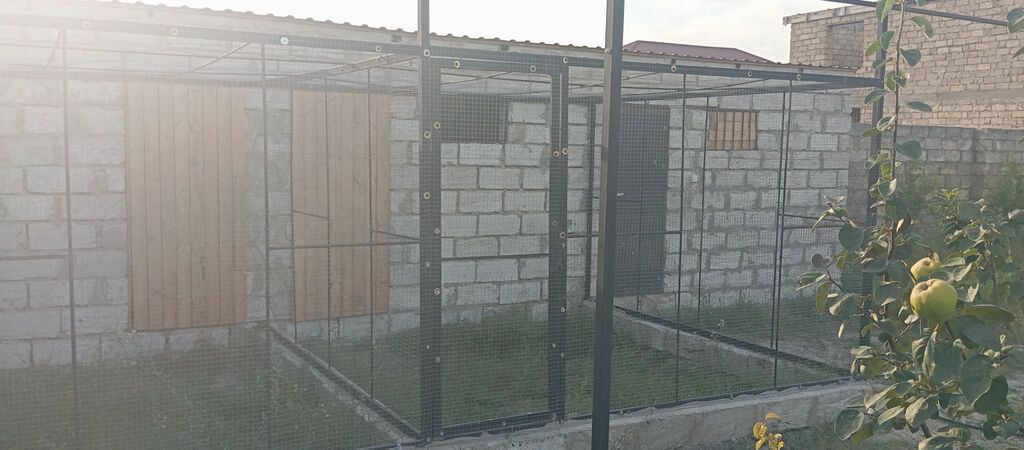10 sot, Tikinti, Mülkiyyətçi, Kupça (Çıxarış) — Torpaq, Bakı (4)