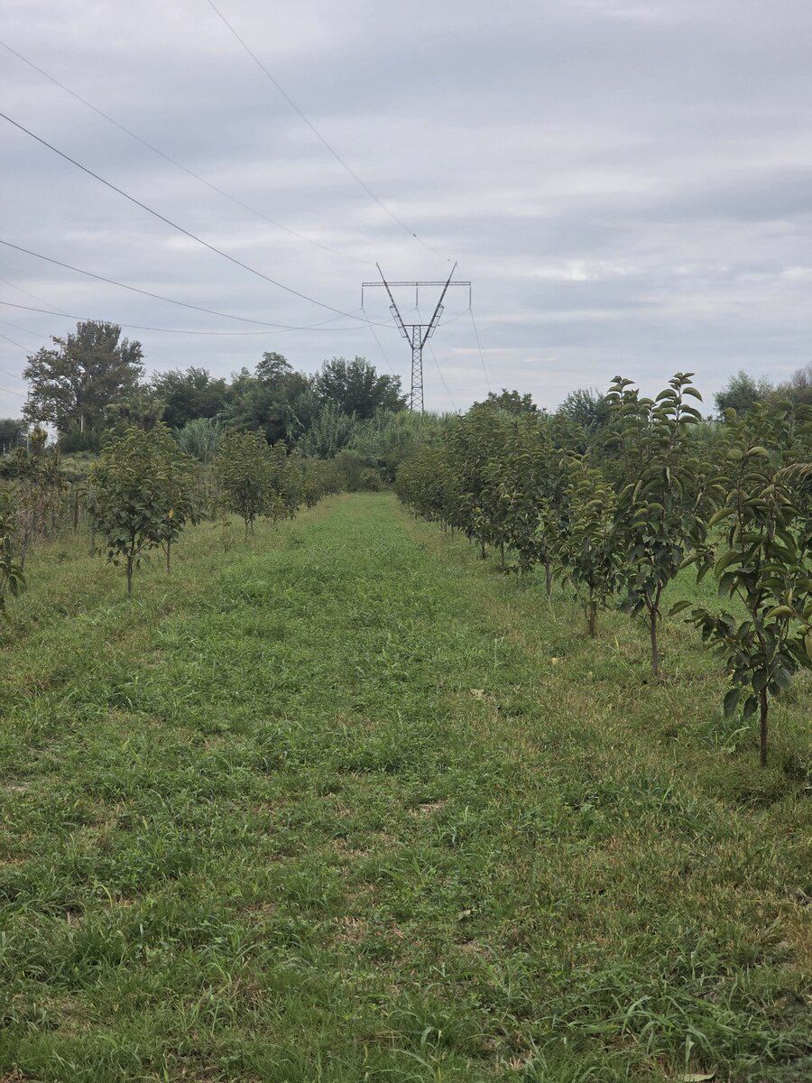 105 sot torpaq sahəsi, Ağdaş r — Torpaq, Ağdaş (3)