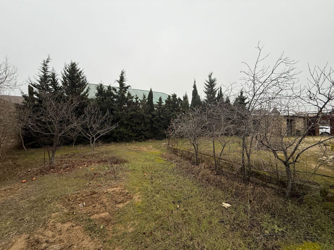 Satılır torpaq 9 sot — Torpaq, Bakı (9)