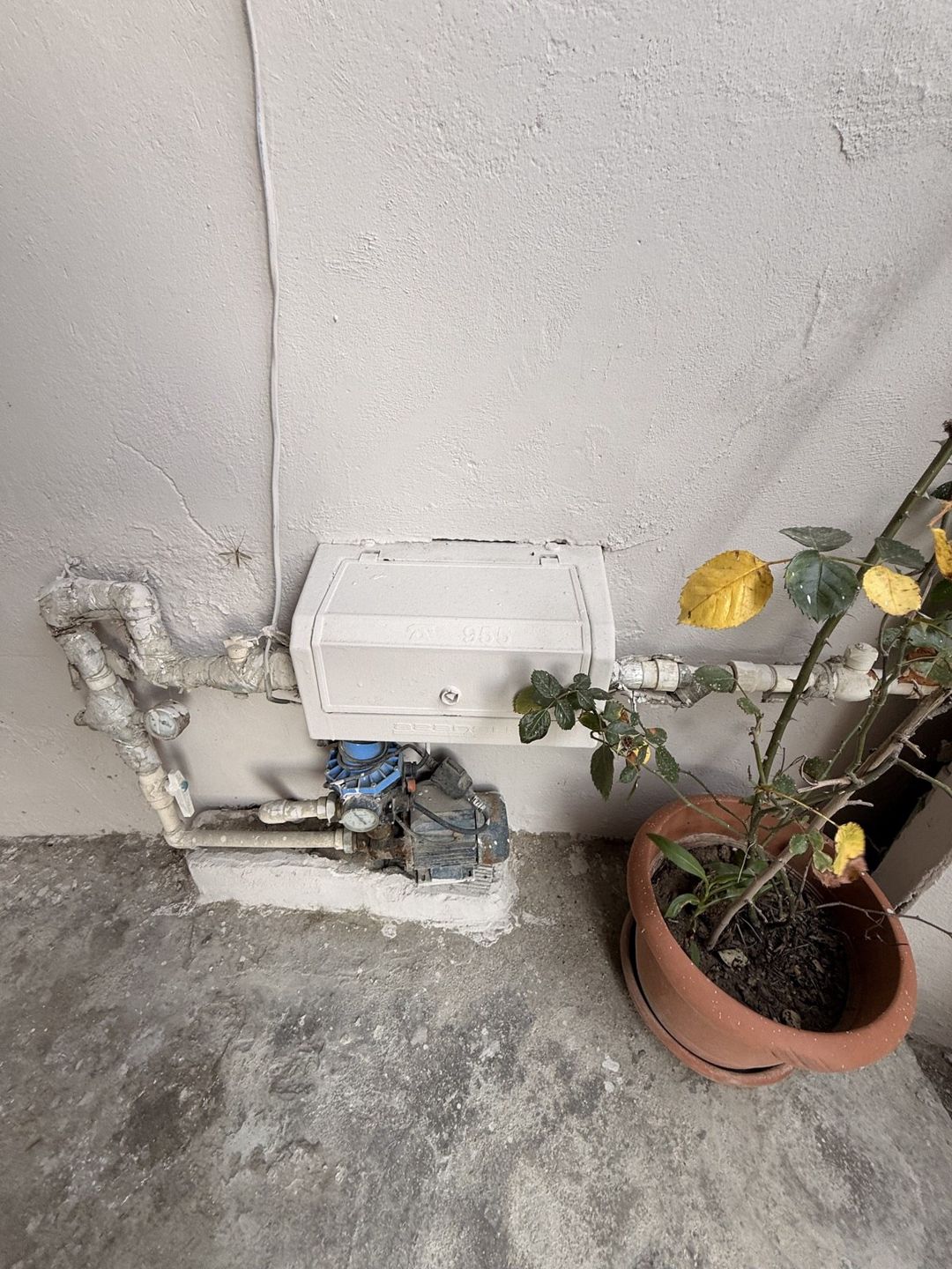 Satılır 4 otaqlı həyət evi/bağ evi 200 m² — Ev, villa, Bakı (7)