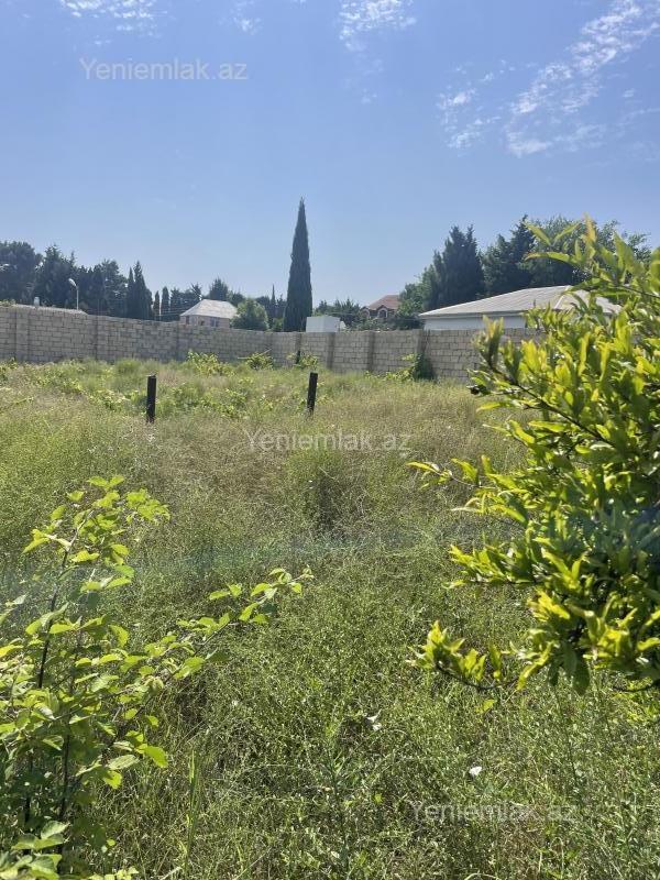Satılır Torpaq sahəsi, 19 sot, Novxanı — Torpaq, Abşeron (2)