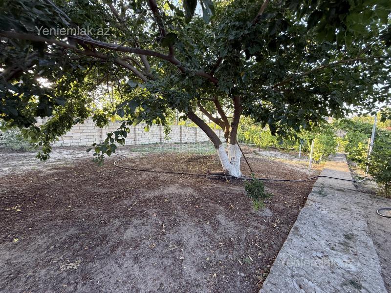Satılır Torpaq sahəsi, 14 sot, Novxanı — Torpaq, Abşeron (11)