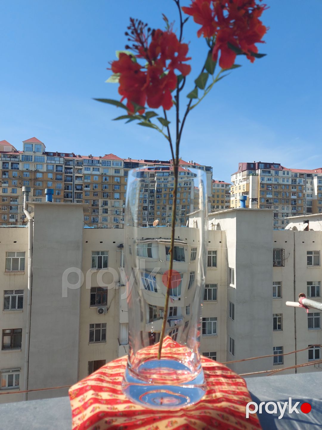 Vazo — Süfrə qabı, Bakı (2)