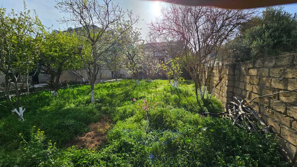 Satılır torpaq 8 sot — Torpaq, Bakı (2)