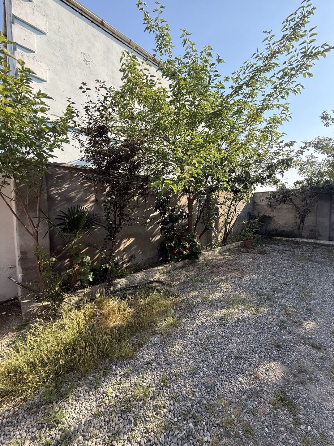 Satılır 4 otaqlı həyət evi/bağ evi 200 m² — Ev, villa, Bakı (4)