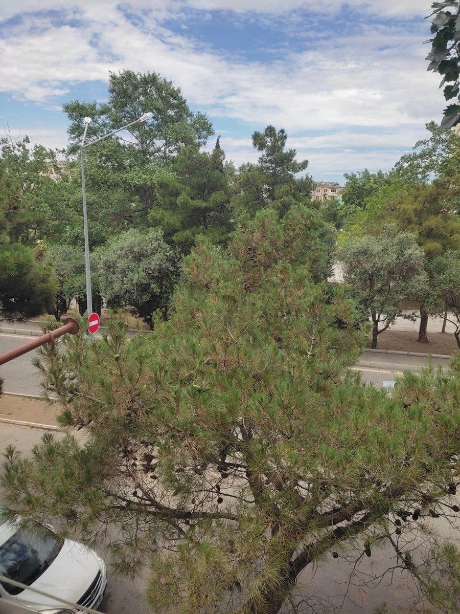 Satılır 2 otaqlı köhnə tikili 32 m² — Mənzil, Bakı (3)