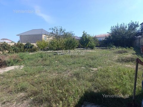 Satılır Torpaq sahəsi, 10 sot, Saray — Abşeron