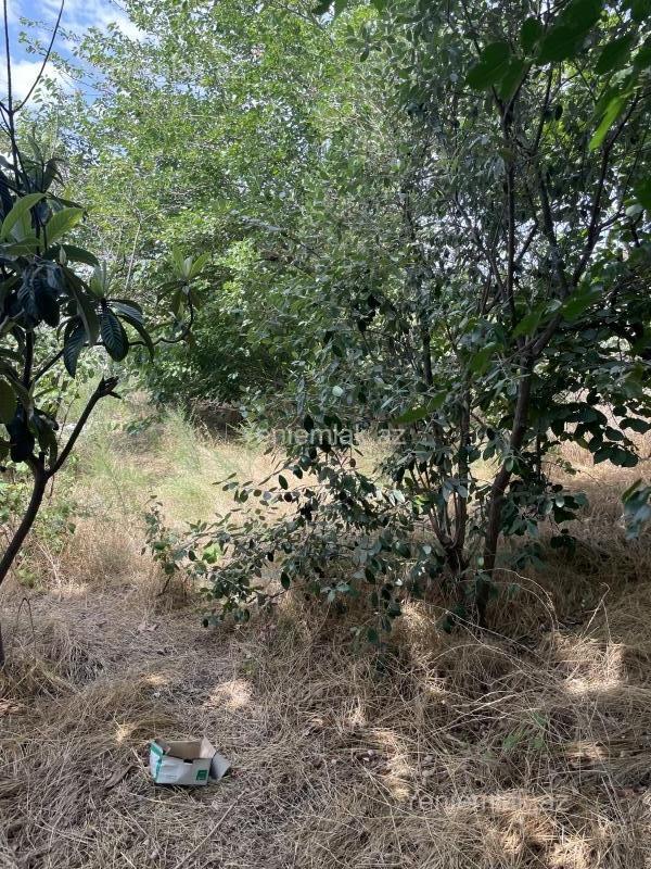 Satılır 4 otaqlı Həyət evi / Villa, 100 m², Qurd dərəsi — Ev, villa, Sumqayıt (5)