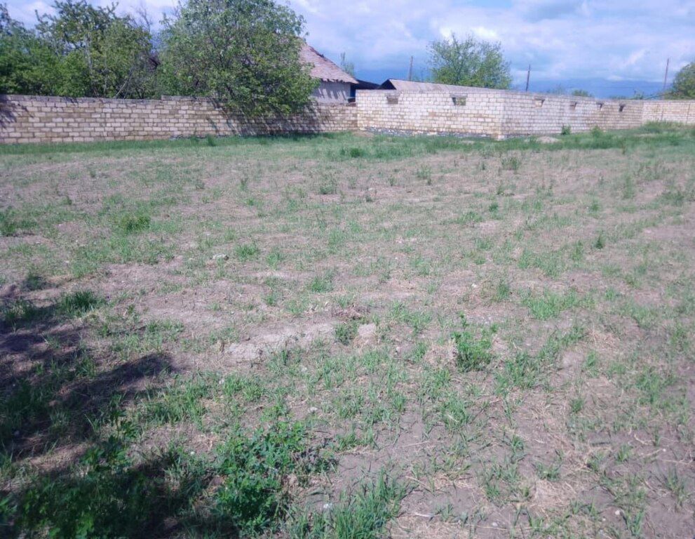 Həyət evi, Şəki ş — Ev, villa, Şəki (3)