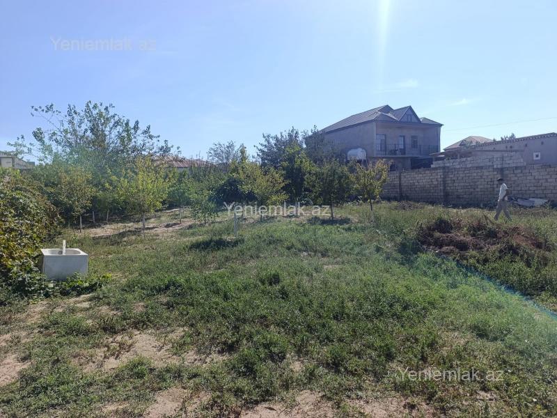 Satılır Torpaq sahəsi, 10 sot, Saray — Torpaq, Abşeron (4)