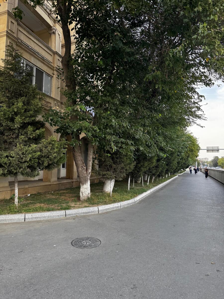 İcarəyə verilir 2 otaqlı köhnə tikili 70 m² — Mənzil, Bakı (9)