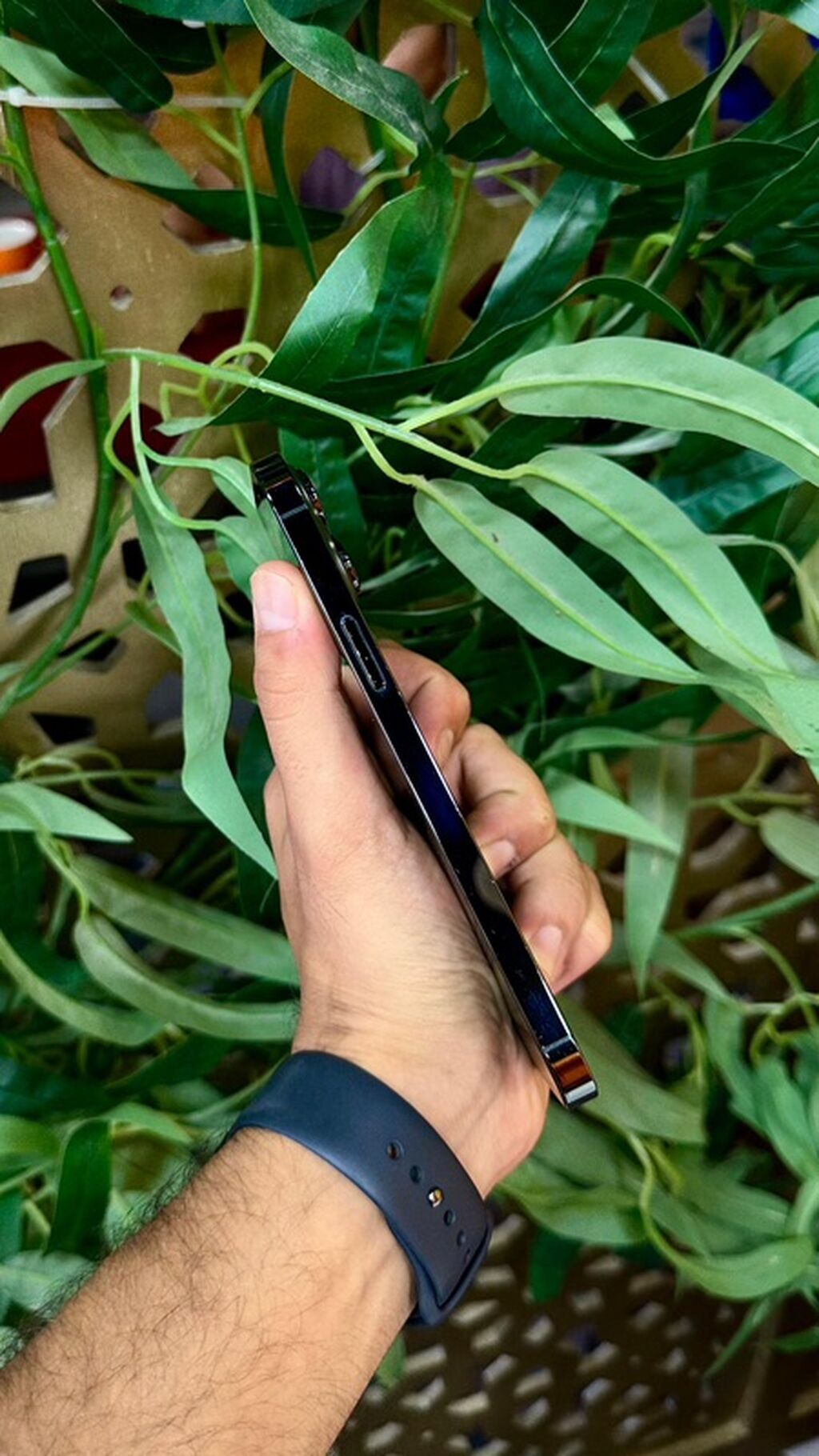IPhone 13 Pro Max, 128 GB, Alpine Green, Simsiz şarj — Apple iPhone, Bakı (4)