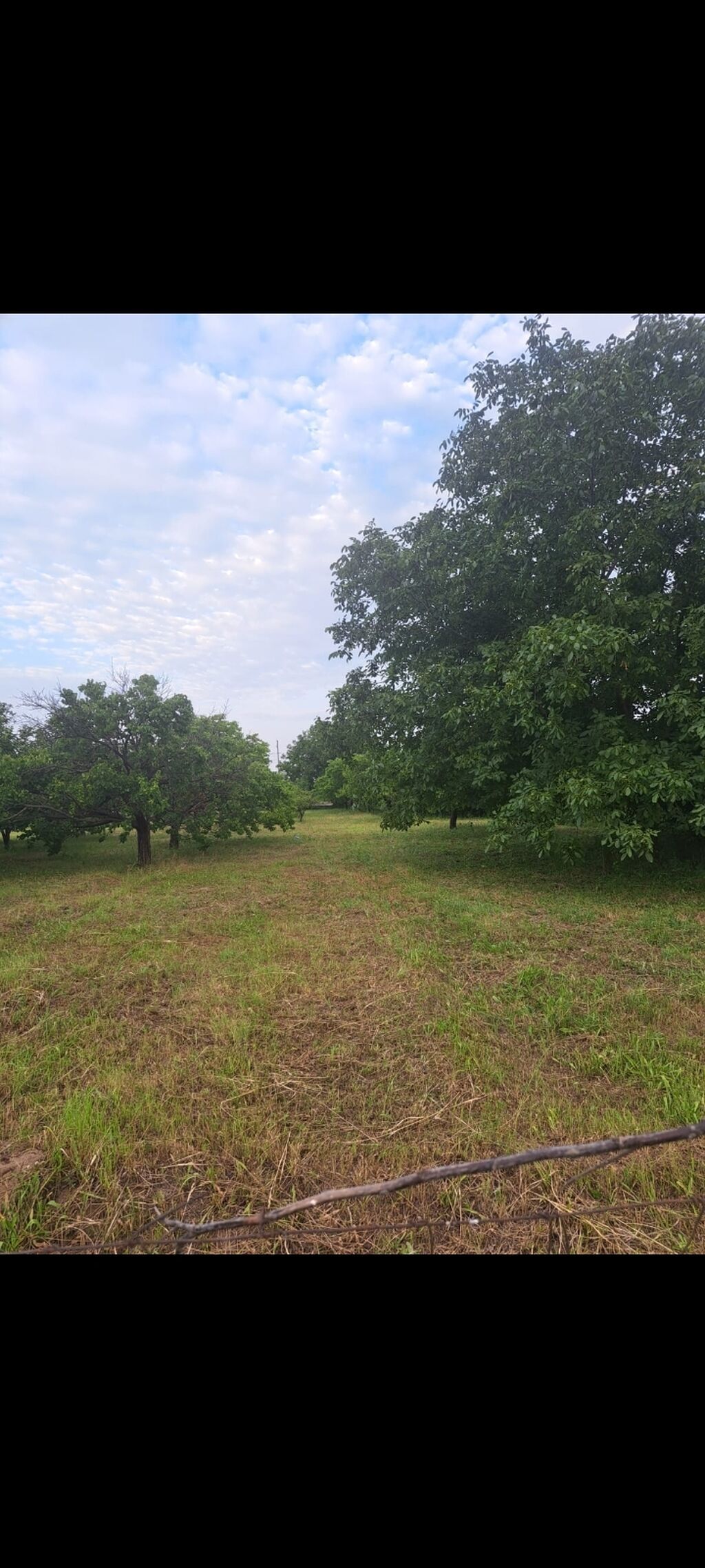 14 sot, Tikinti, Makler, Kupça (Çıxarış) — Torpaq, Gəncə