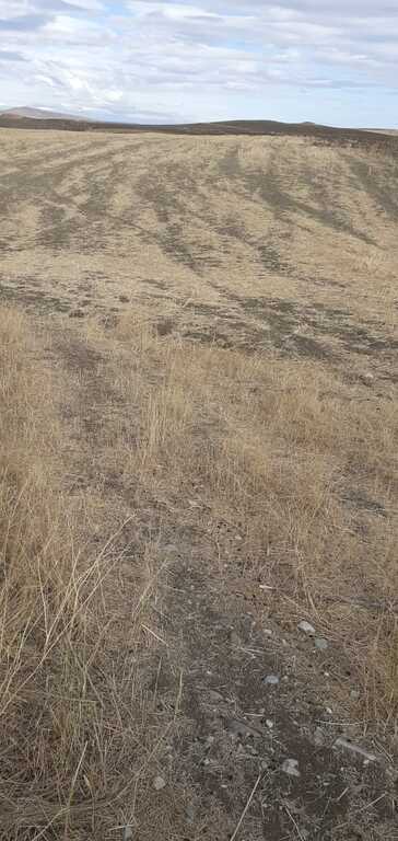 Satılır torpaq 3939 sot — Torpaq, Qobustan (7)