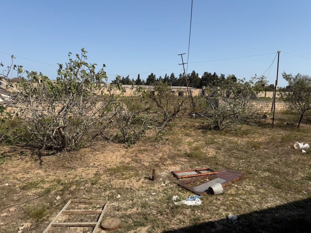 Satılır torpaq 53 sot — Torpaq, Bakı (11)