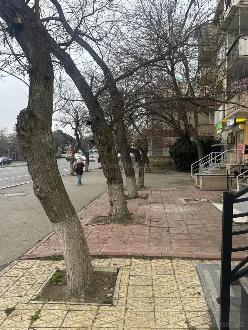 Kirayə verilir Obyekt 37 m² Bakı, Yasamal r., Elmlər Akademiyası m — Əmlak, Bakı (5)