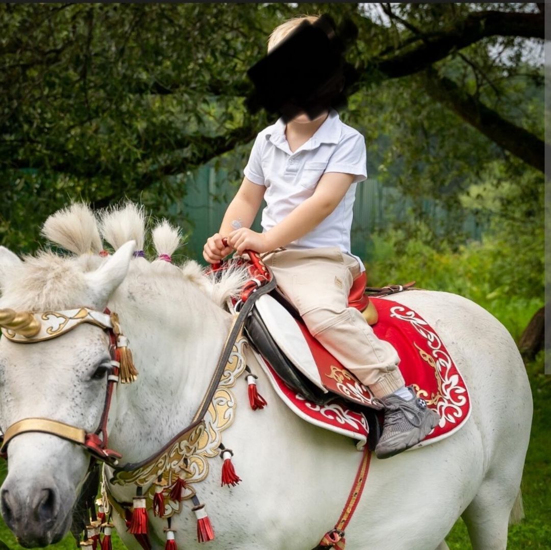 Poni atları — Atlar, Bakı (7)