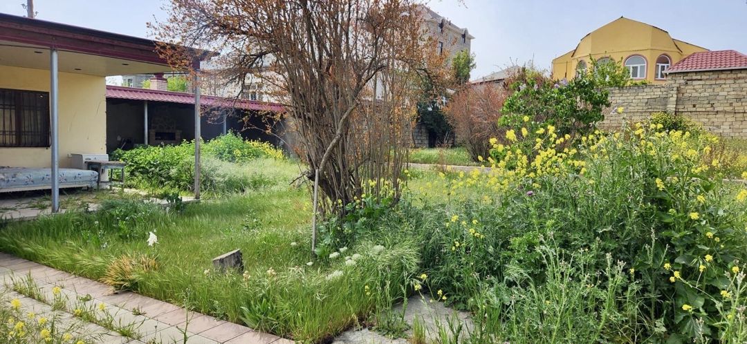 Satılır torpaq 9.5 sot — Torpaq, Bakı (4)