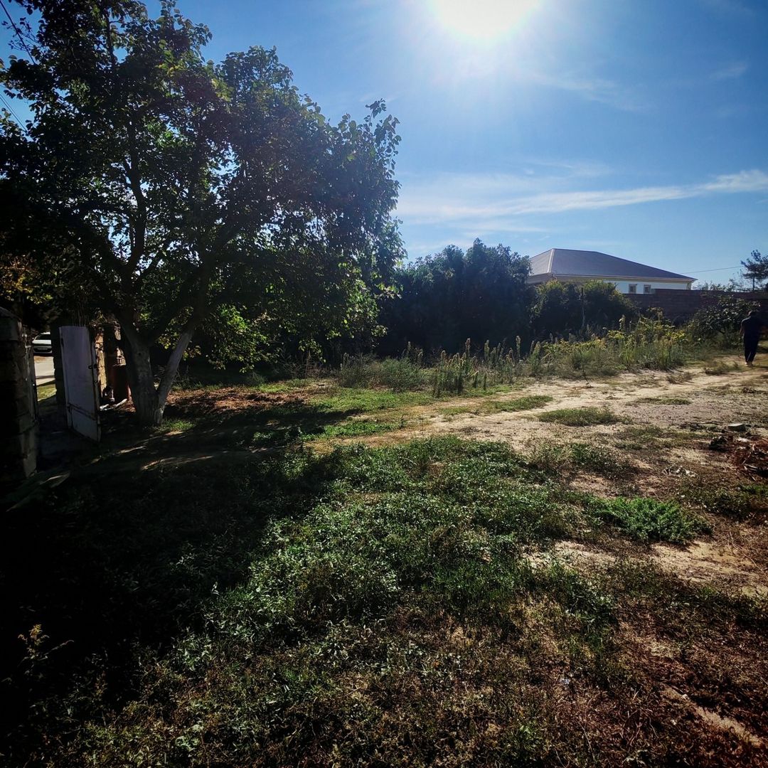 Satılır torpaq 6 sot — Torpaq, Bakı (5)
