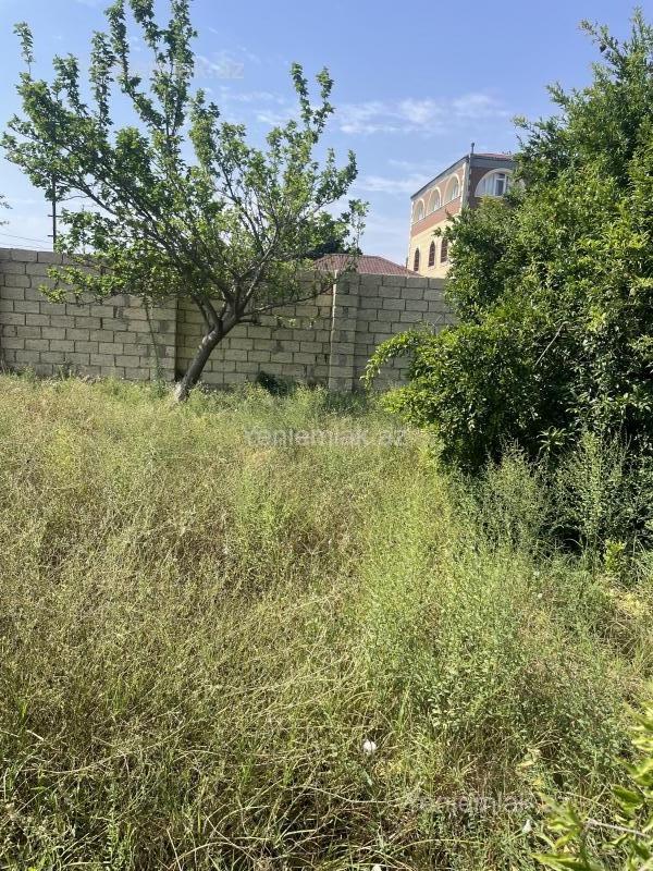 Satılır Torpaq sahəsi, 19 sot, Novxanı — Torpaq, Abşeron (5)