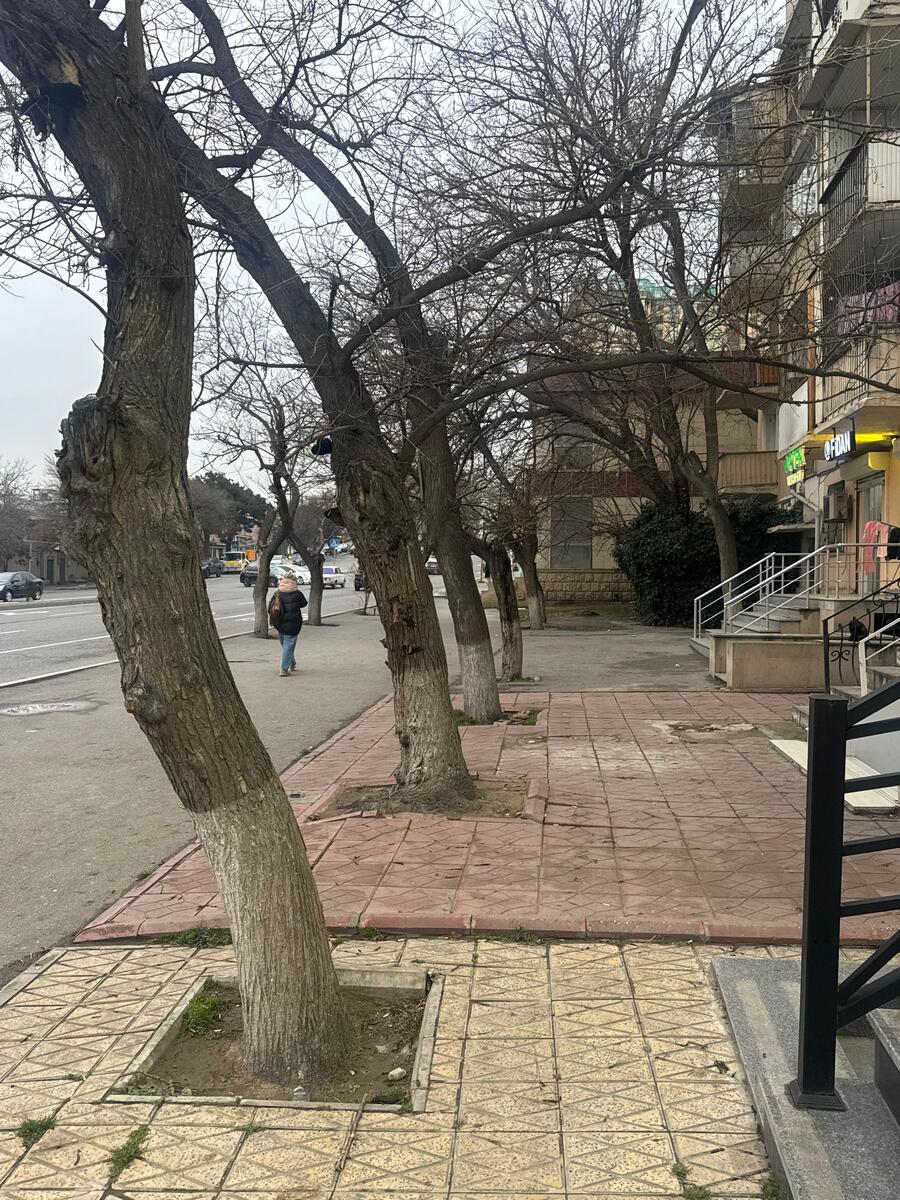 İcarəyə verilir obyekt 37 m² — Əmlak, Bakı (5)