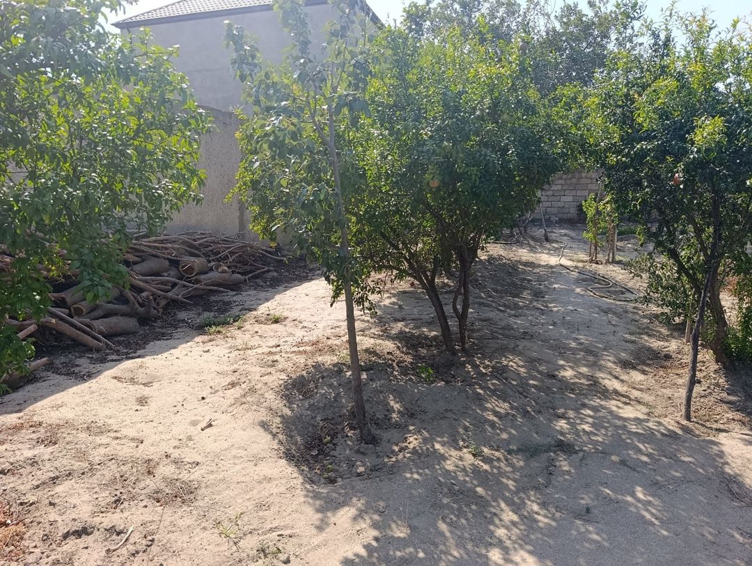 Satılır 5 otaqlı həyət evi/bağ evi 120 m² — Ev, villa, Bakı (6)