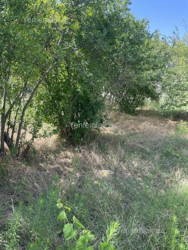 For sale: land, 19 sot — Torpaq, Abşeron (10)