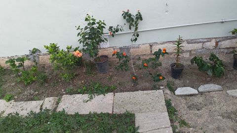 Satılır 3 otaqlı həyət evi/bağ evi 70 m² — Bakı