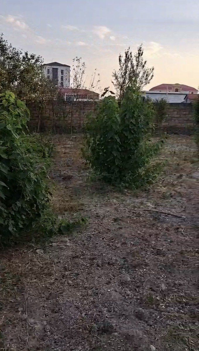Satılır torpaq 6 sot — Torpaq, Şəki (3)