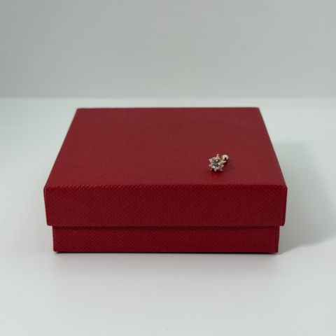 Pirsinq üçün sırğa GC997, gümüş 925 əyar — Bakı